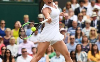 2011温网女单决赛