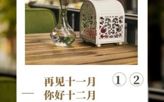 11月1日是什么日子