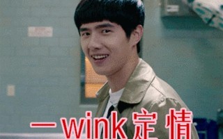 wink是什么意思中文