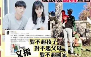 郑爽张恒案新变化