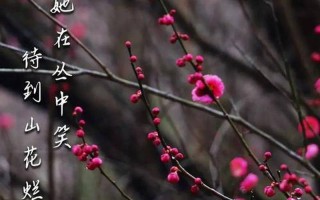 暗香浮动是什么生肖