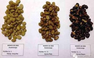 honey是什么意思中文