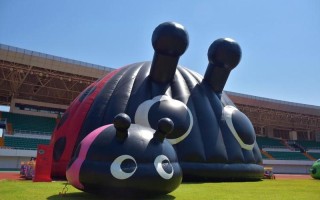 artofzoovixen人与猴