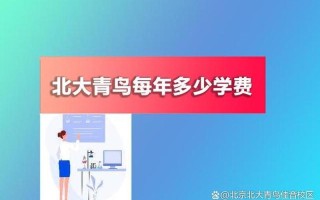 北大青鸟一年多少学费