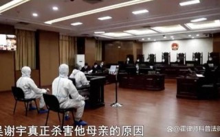 北大弑母案件分析