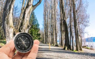 100种大自然的指南针