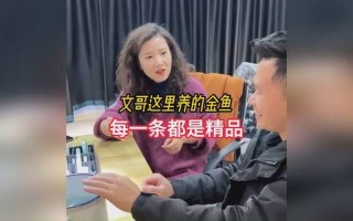 999re5这里只有精品w