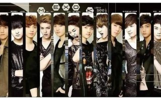 exo成员资料简介12人