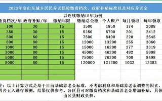 2023养老缴费价格表