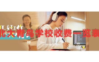 北大青鸟一年学费多少钱