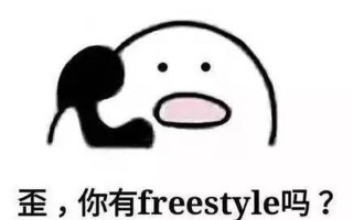 style是什么意思啊