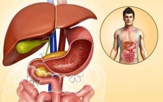 肝胆相照是什么意思