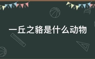 一丘之貉什么意思