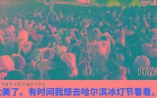 bbc 中国人要来了