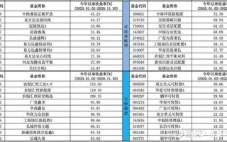 2021年最值得投资的10只基金