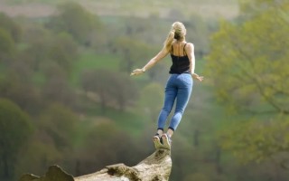 海龟的运动系统由什么组成-